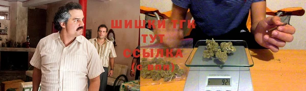 дурь Карпинск