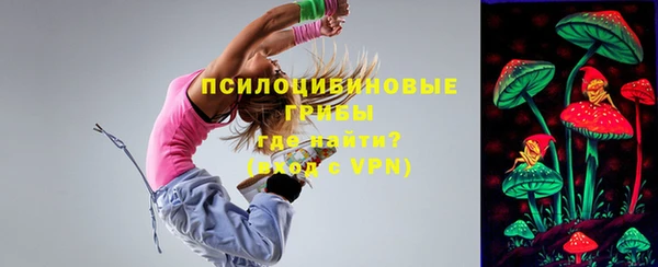 соль ск Касимов