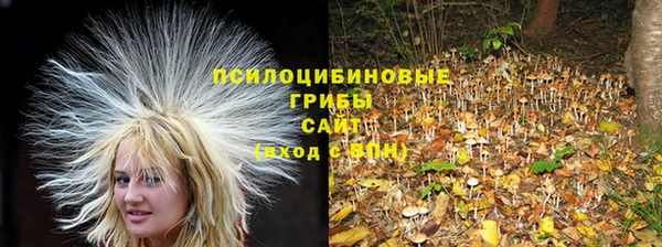 наркотики Каменногорск
