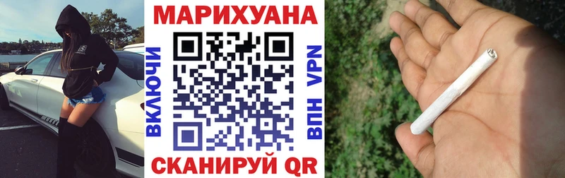 Каннабис планчик Верещагино